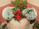 DSCF0978.JPG