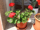 DSCF0980.JPG