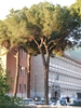 DSCF1283.JPG