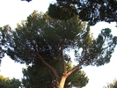 DSCF1284.JPG