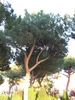 DSCF1285.JPG