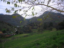 Fichero: 105-0582_IMG.JPG
Tamaño: 559KB
Dimensiones: 1600x1200
Fecha de alta: 17 de Mar de 2005 105-0582_IMG.JPG