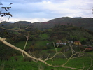 Fichero: 105-0583_IMG.JPG
Tamaño: 476KB
Dimensiones: 1600x1200
Fecha de alta: 17 de Mar de 2005 105-0583_IMG.JPG