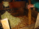105-0591_IMG.JPG