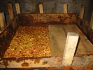 Fichero: 105-0594_IMG.JPG
Tamaño: 623KB
Dimensiones: 1600x1200
Fecha de alta: 17 de Mar de 2005 105-0594_IMG.JPG