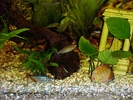 Frontal_Acuario_2.jpg
