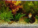 Frontal_Acuario_4.jpg