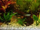 Frontal_Acuario_5.jpg
