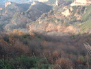 Fichero: DSCF0984.JPG
Tamaño: 815KB
Dimensiones: 2048x1536
Fecha de alta: 20 de Ene de 2005 DSCF0984.JPG