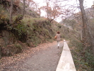 Fichero: DSCF1022.JPG
Tamaño: 828KB
Dimensiones: 2048x1536
Fecha de alta: 20 de Ene de 2005 DSCF1022.JPG