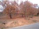 DSCF1050.JPG