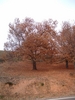 DSCF1051.JPG