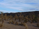 Fichero: DSCN0394.JPG
Tamaño: 939KB
Dimensiones: 1632x1224
Fecha de alta: 29 de Oct de 2005 DSCN0394.JPG