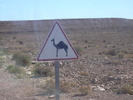 DSCN0426.JPG