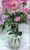 Fichero: flor2.jpg
TamaƱo: 112KB
Dimensiones: 423x692
Fecha de alta: 14 de Oct de 2004 flor2.jpg