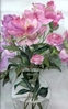 Fichero: flor22.jpg
Tamaño: 34KB
Dimensiones: 399x640
Fecha de alta: 14 de Oct de 2004 flor22.jpg