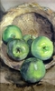 Fichero: manzanas3.jpg
TamaƱo: 81KB
Dimensiones: 349x572
Fecha de alta: 14 de Oct de 2004 manzanas3.jpg